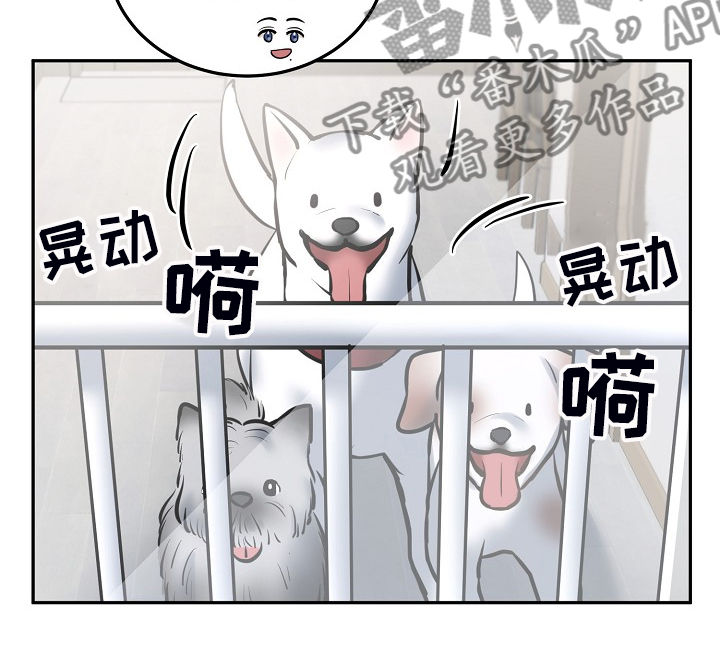 第43章：给狗狗拍照11