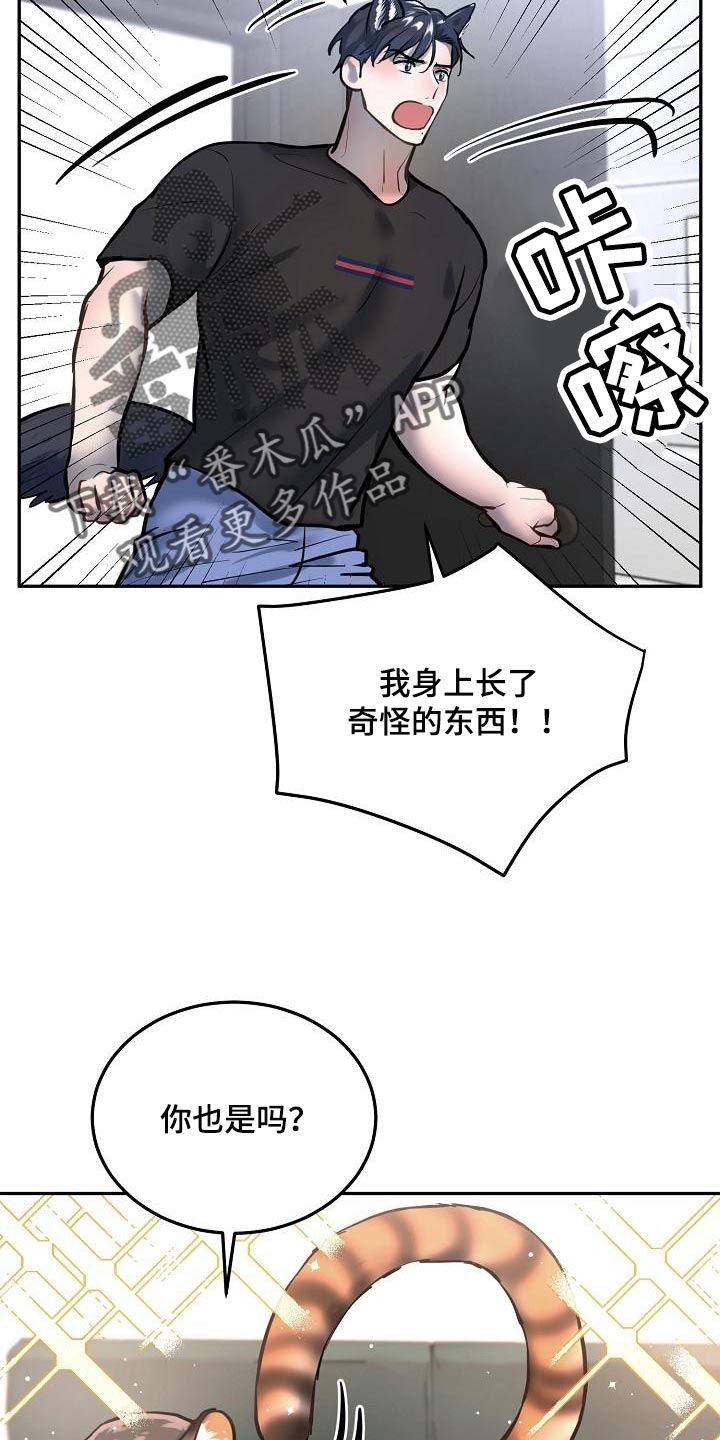 第80章：【番外】心动的感觉13