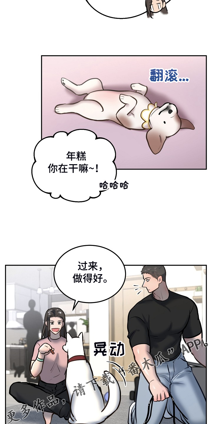 第43章：给狗狗拍照17
