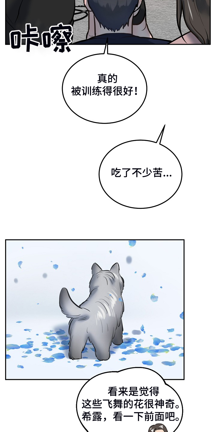 第43章：给狗狗拍照16