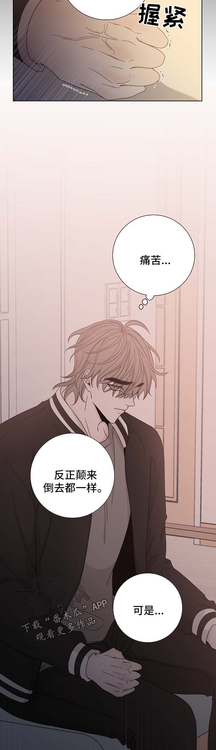 第61章：照片4