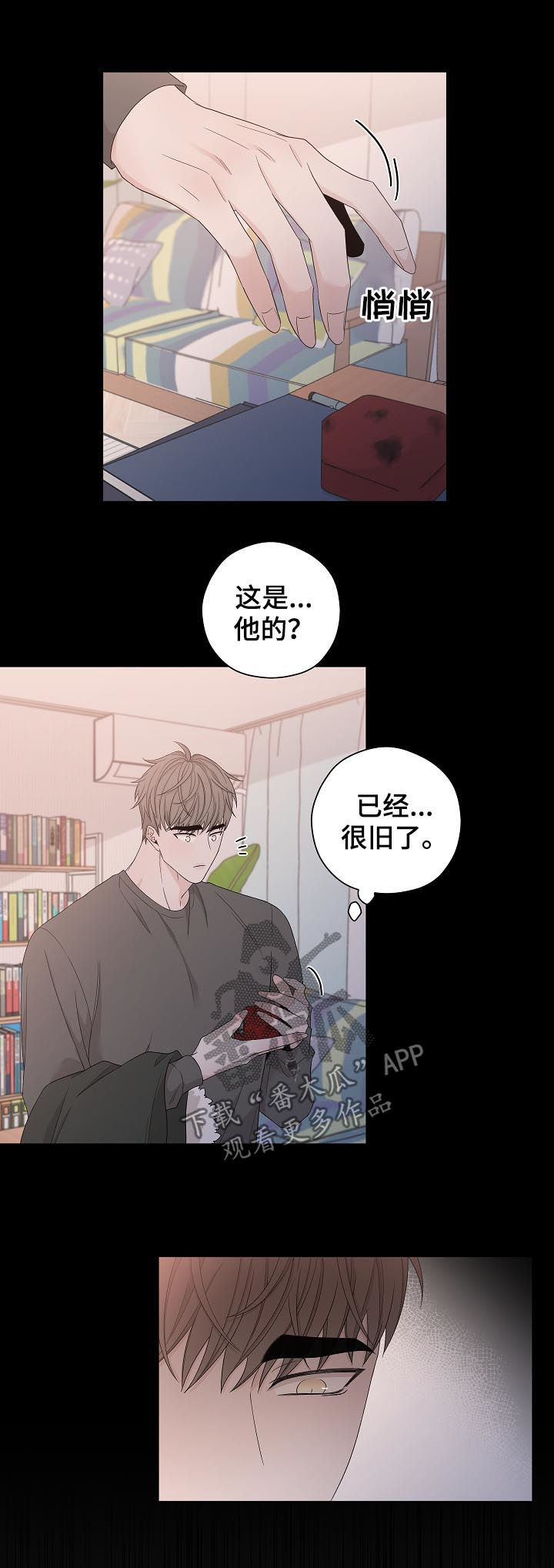 第100章：戒指10