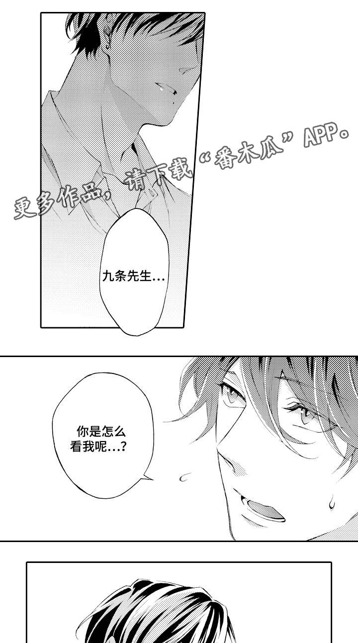 第38章：仅此而已5
