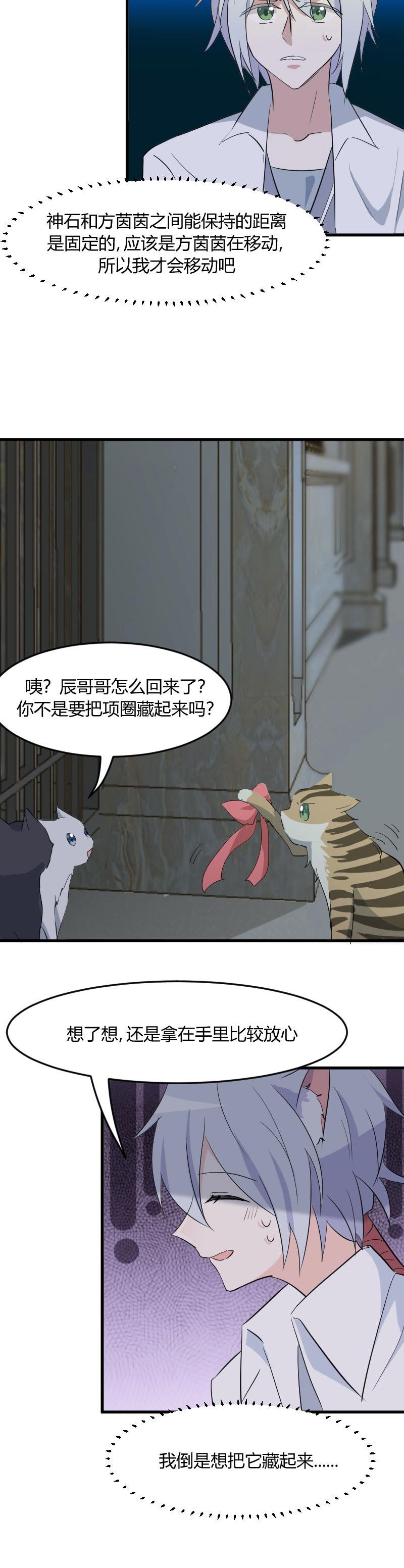 第17章：猫很活泼很健康5