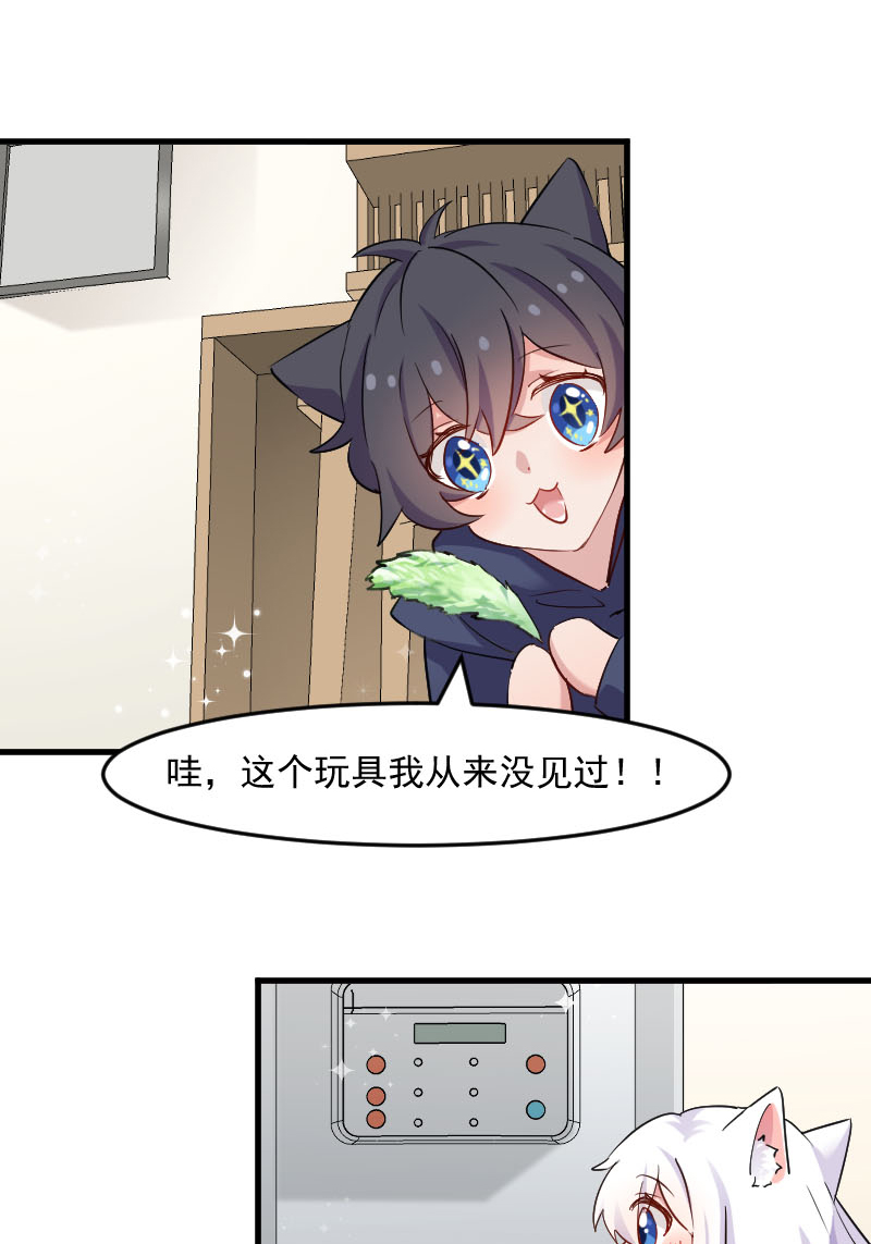 第120章：超豪华的猫屋！5