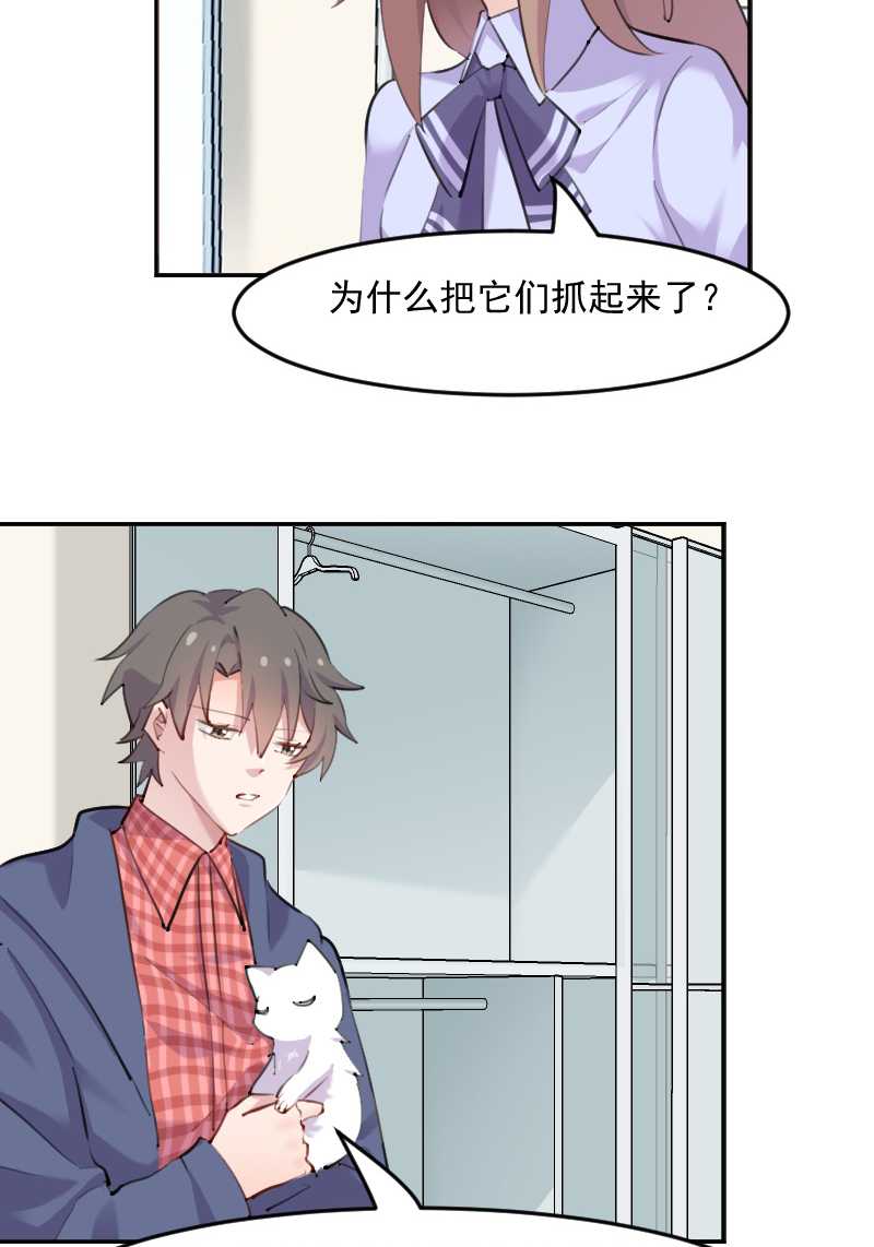 第114章：天命难违4