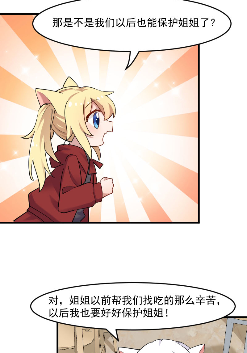 第120章：超豪华的猫屋！12