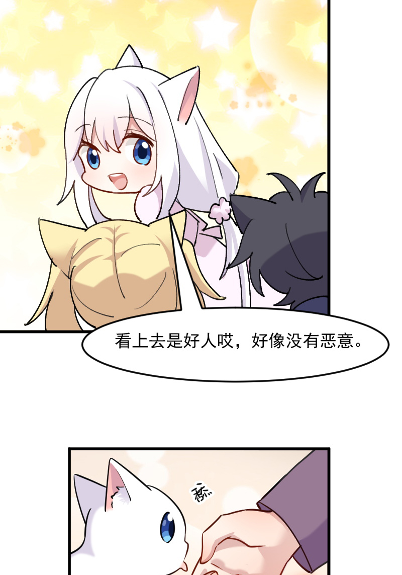 第124章：三只小猫的冒险章17