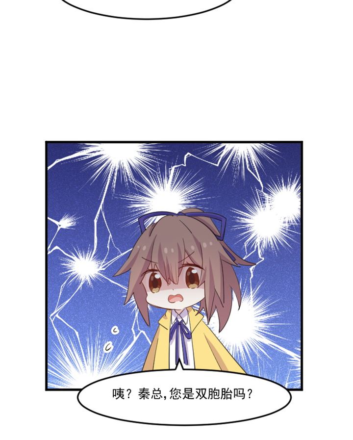 第97章：总裁是双胞胎？29