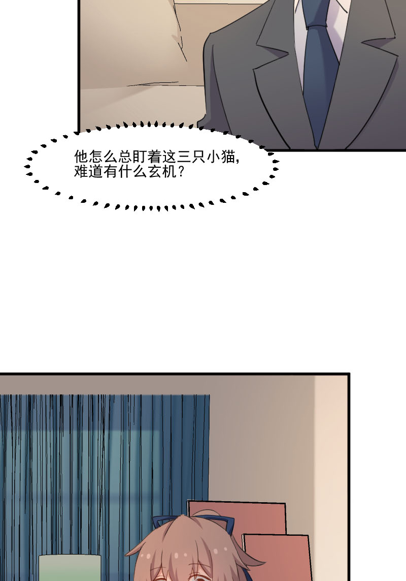 第103章：照顾她的猫6