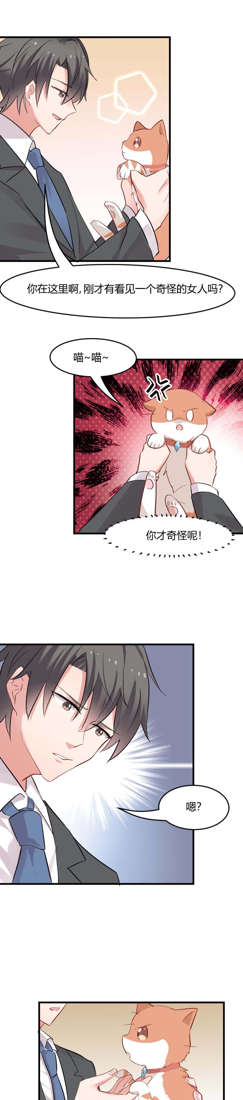 第22章：撸猫不成反被挠2