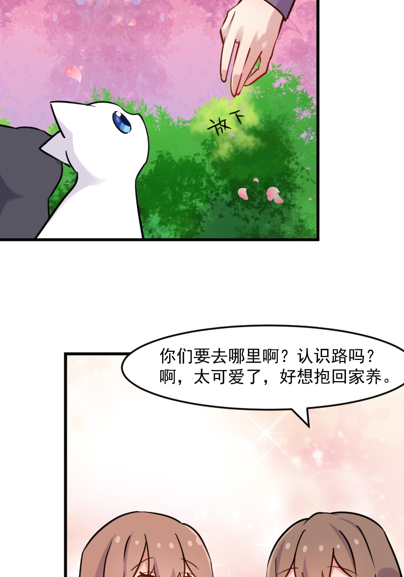 第124章：三只小猫的冒险章20