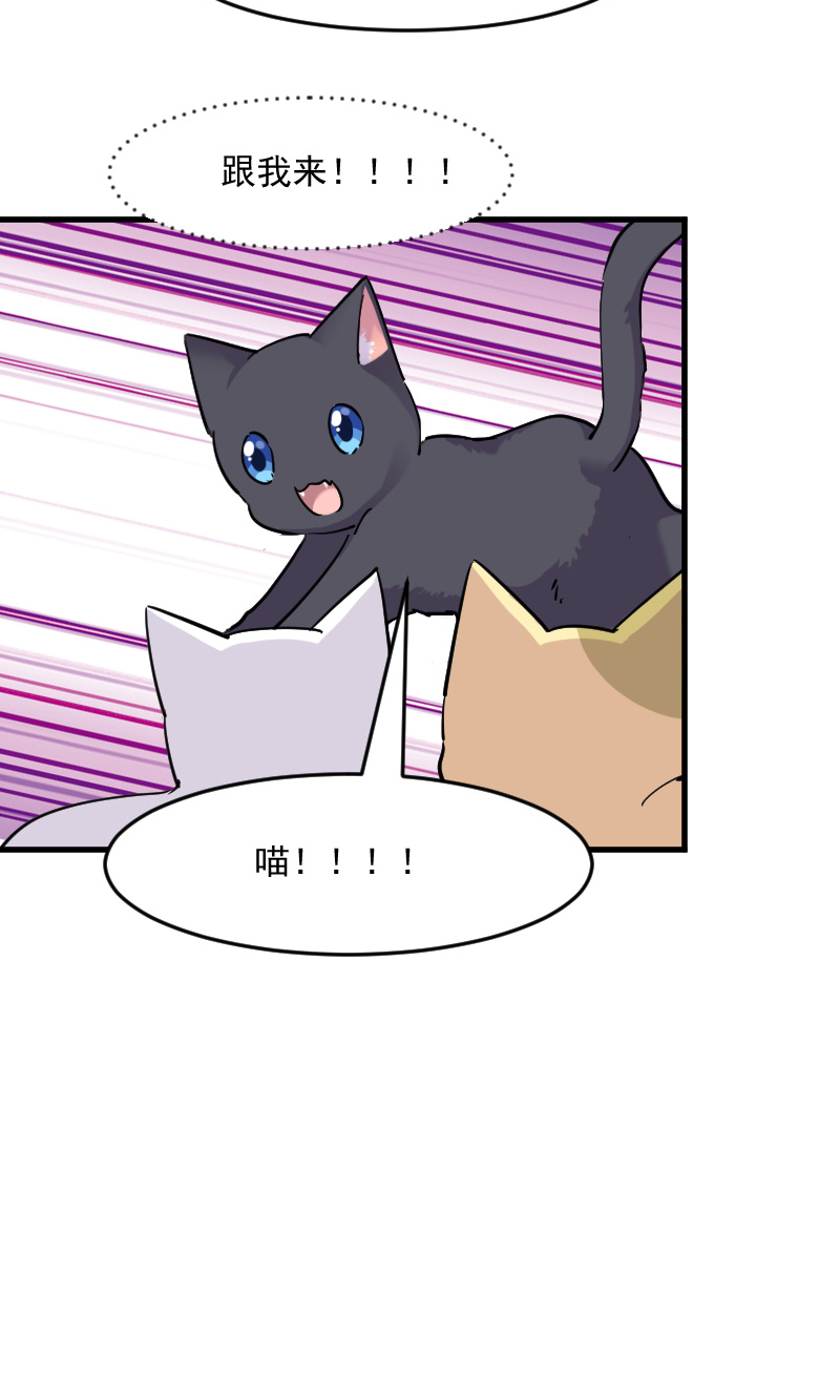 第125章：总裁的爱猫之心6