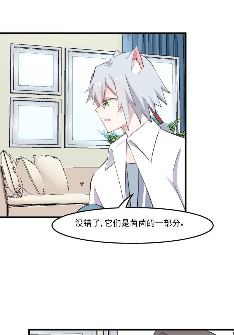 第104章：猫身上的秘密21