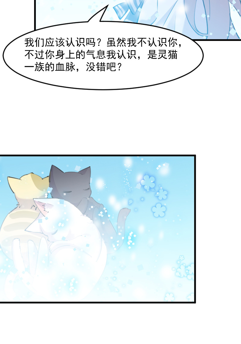 第114章：天命难违11