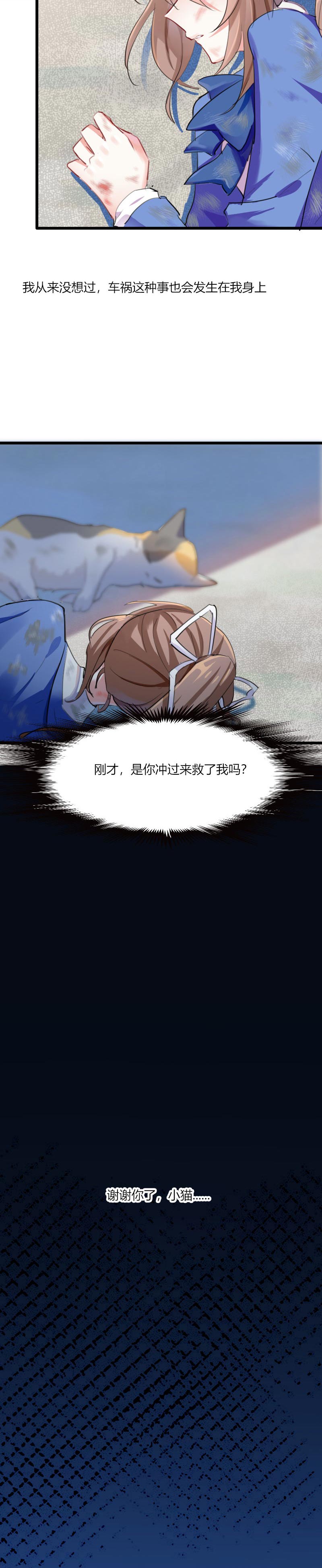 第2章：天降喵神？1