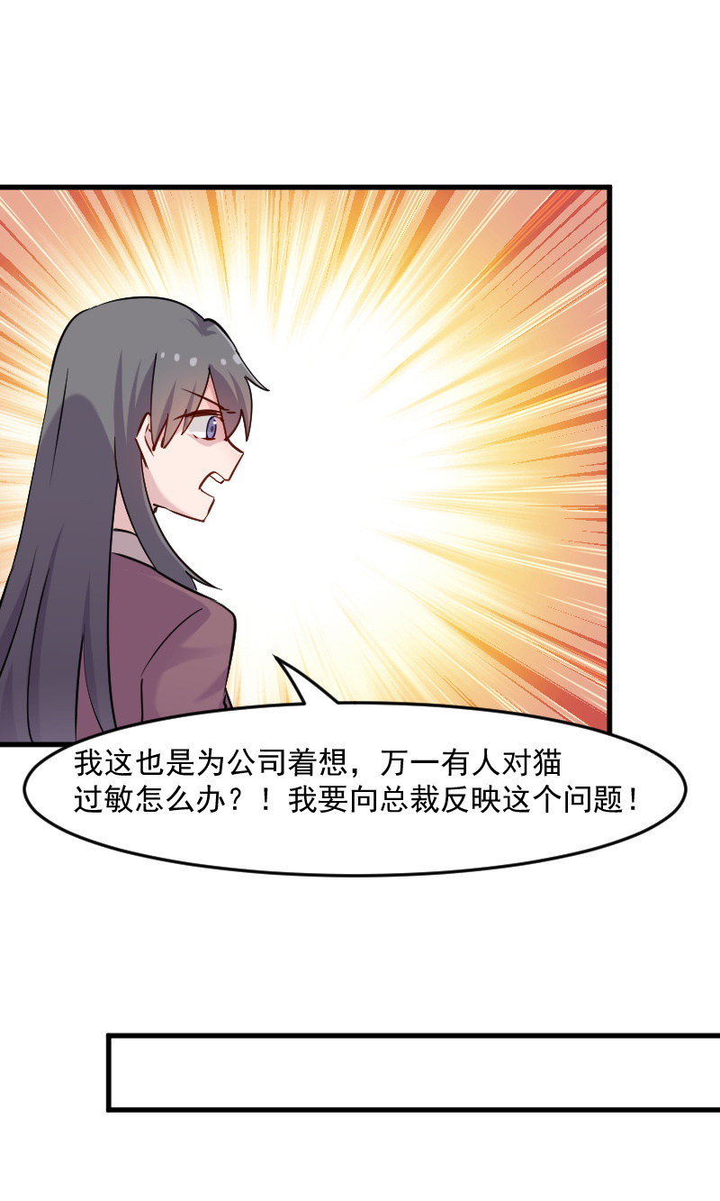 第125章：总裁的爱猫之心13
