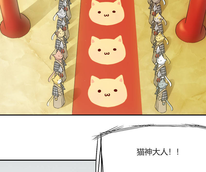 第3章：悲惨的喵生2
