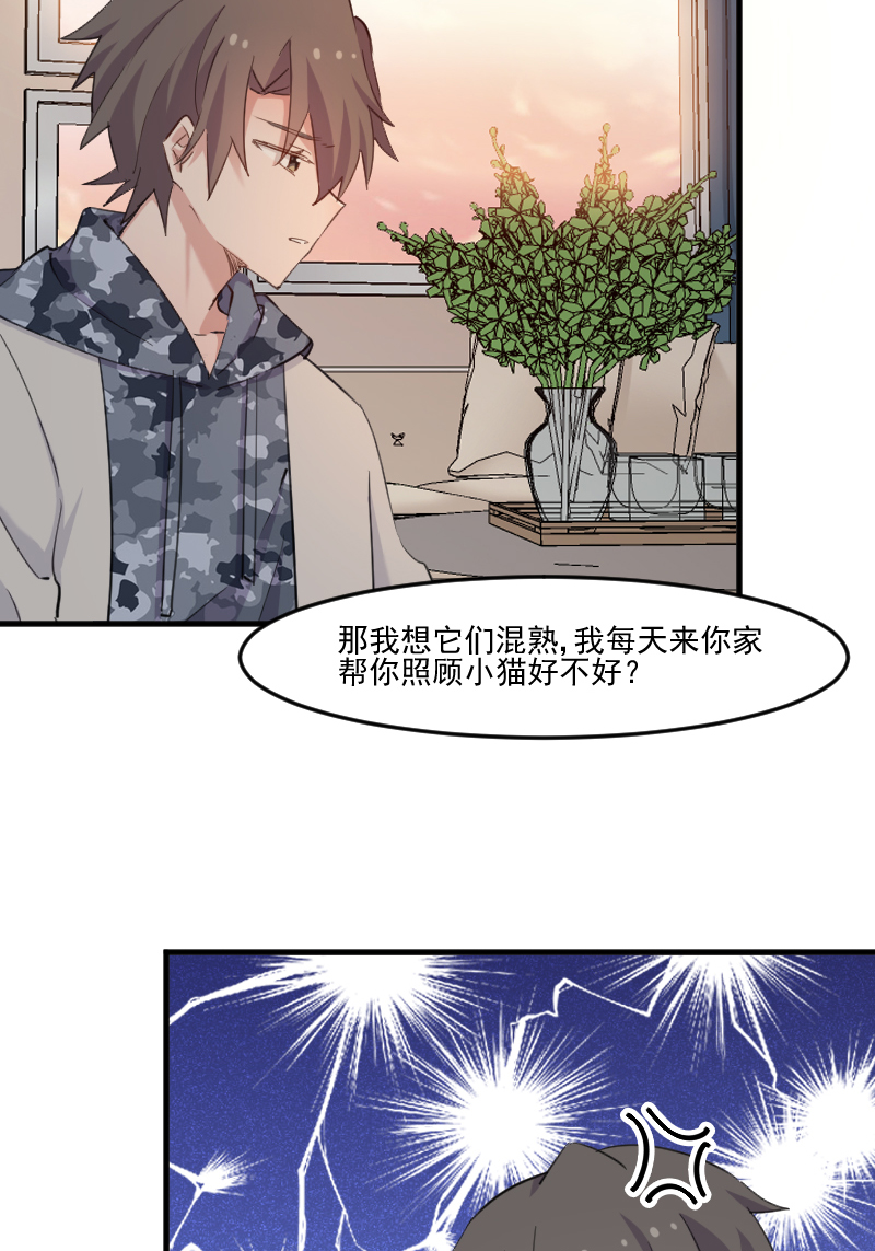第103章：照顾她的猫17