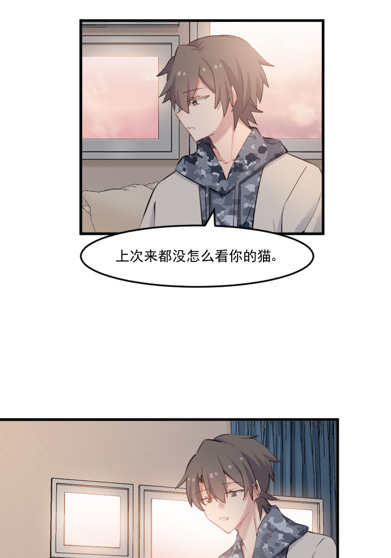 第103章：照顾她的猫4