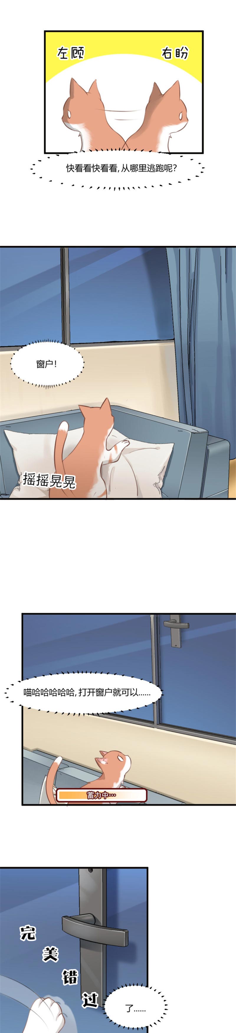 第6章：成功引起我的注意1