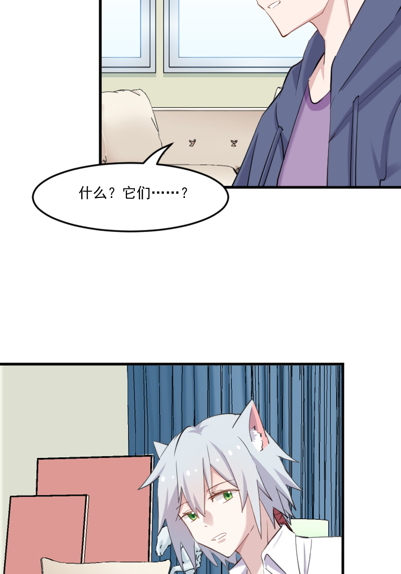 第104章：猫身上的秘密17