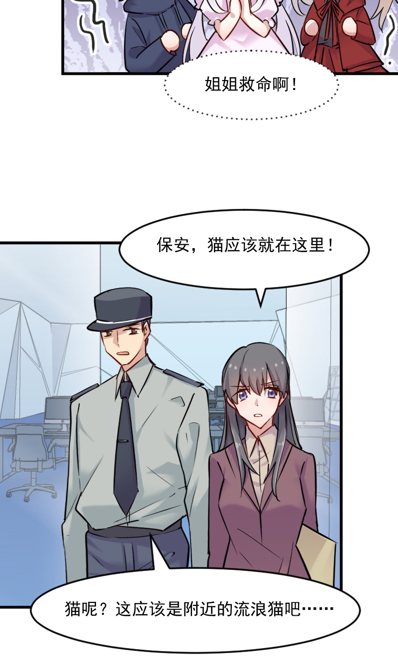 第125章：总裁的爱猫之心10