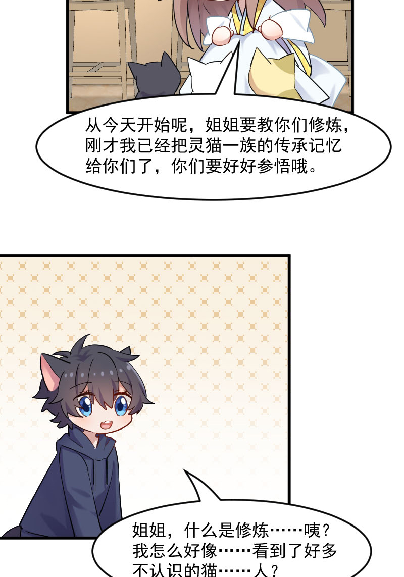 第120章：超豪华的猫屋！10