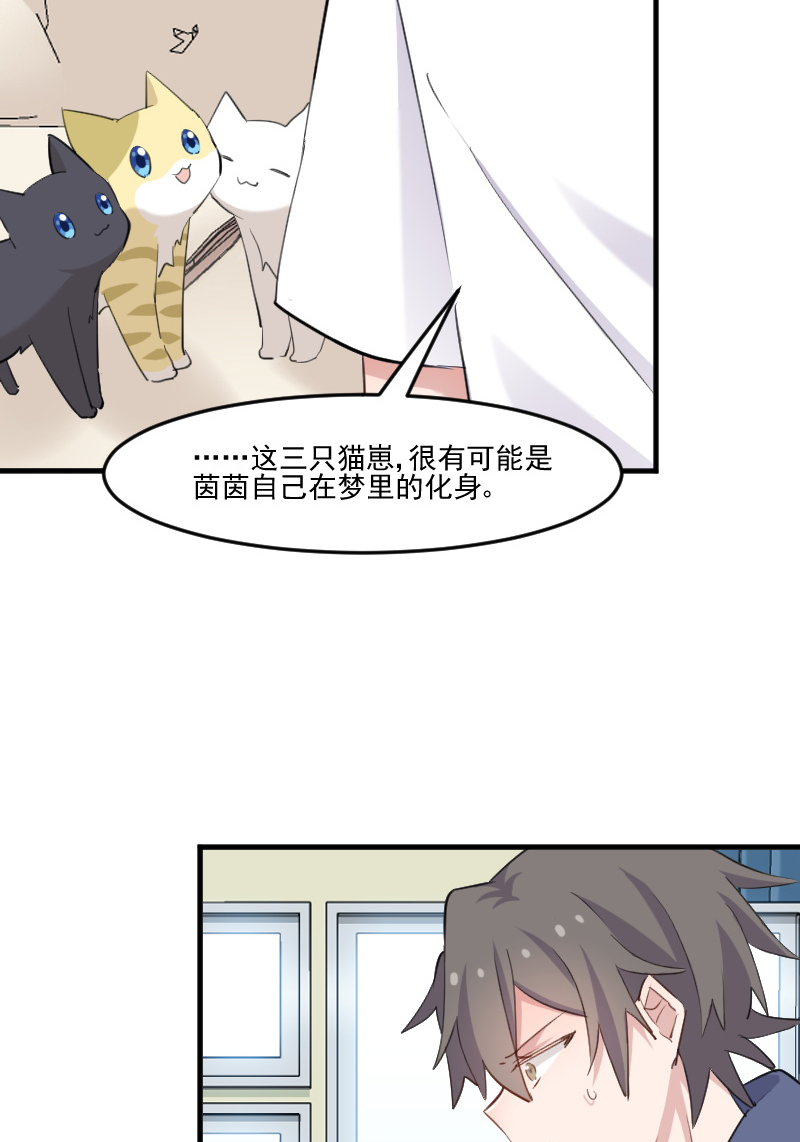 第104章：猫身上的秘密16
