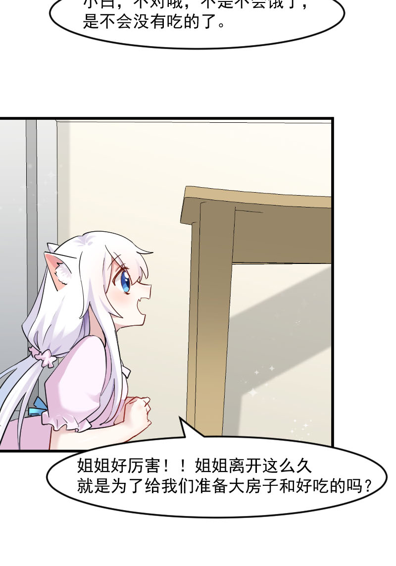 第120章：超豪华的猫屋！7