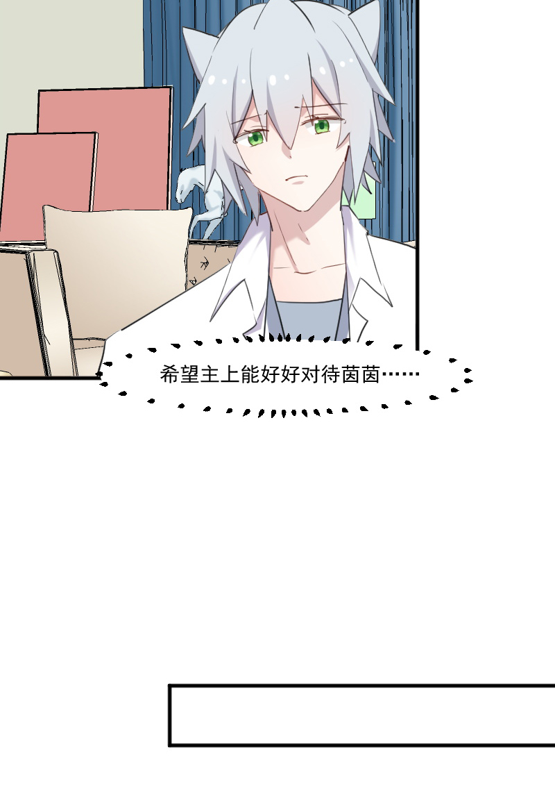 第104章：猫身上的秘密23