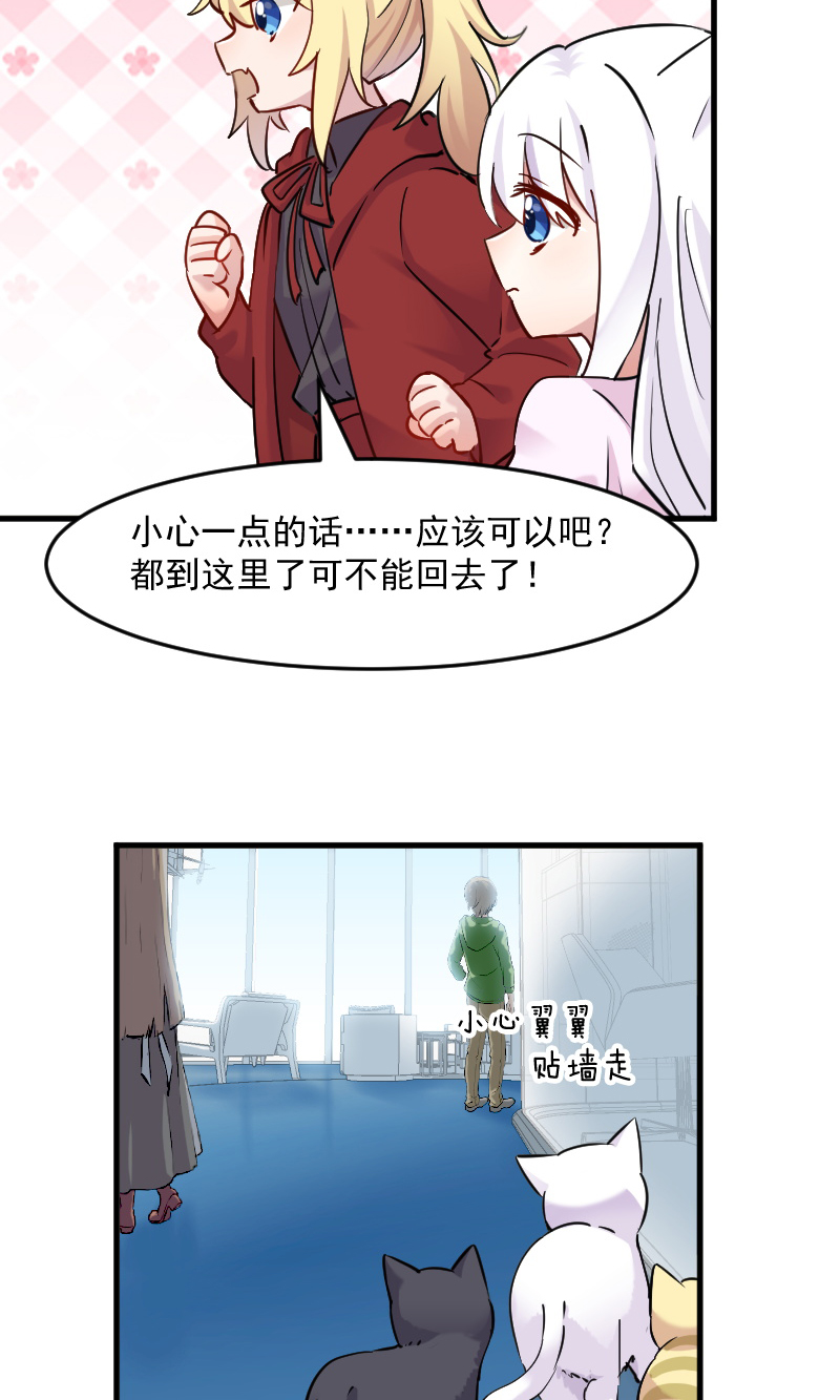第125章：总裁的爱猫之心3