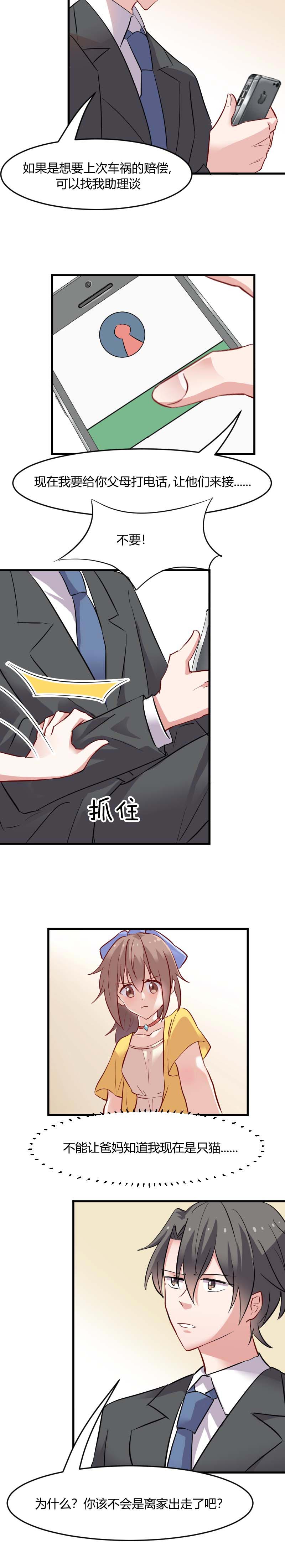 第21章：被糊弄过去了3