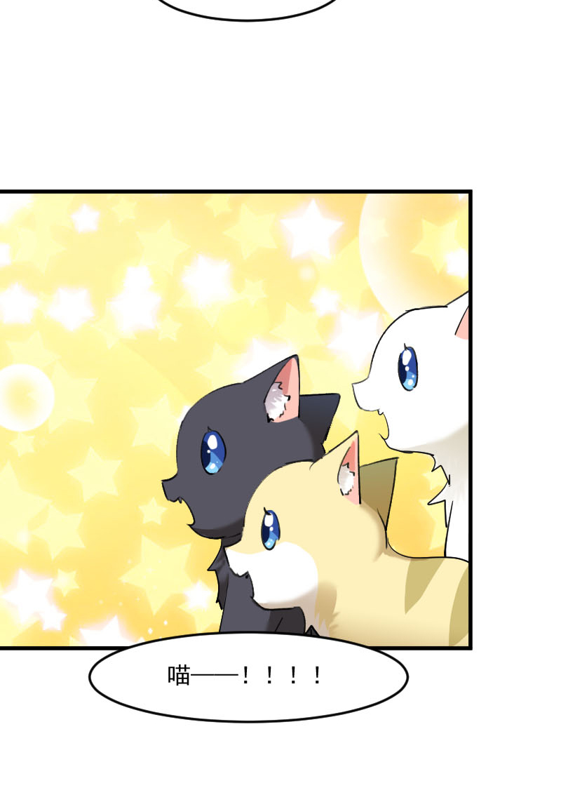 第120章：超豪华的猫屋！3