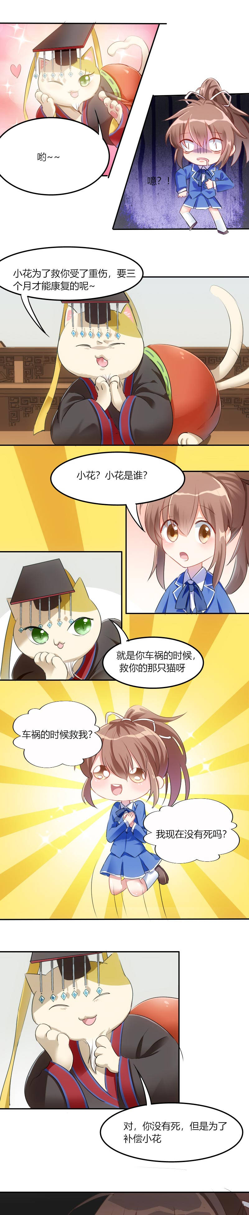 第3章：悲惨的喵生5