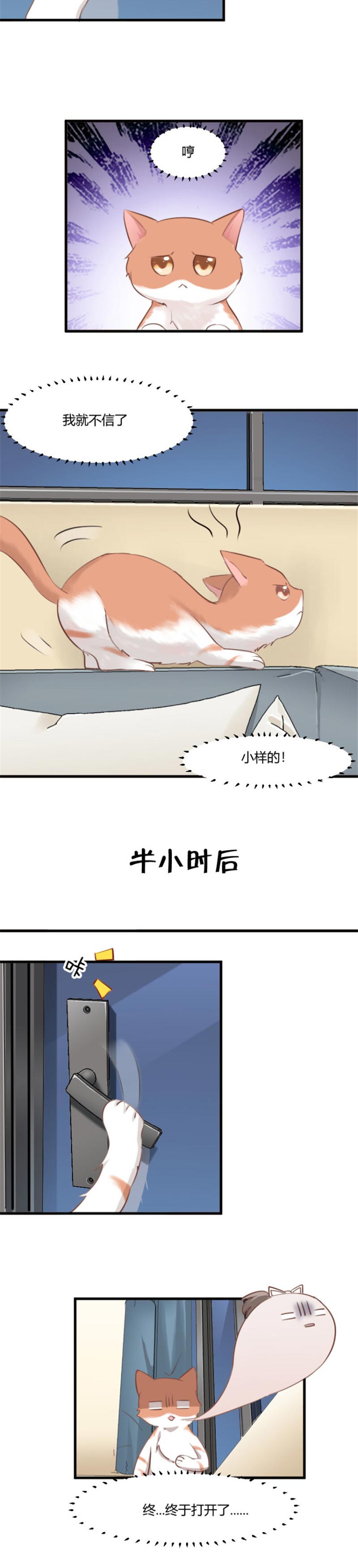 第6章：成功引起我的注意2
