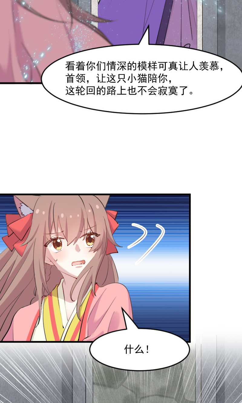 第112章：猫的报恩15
