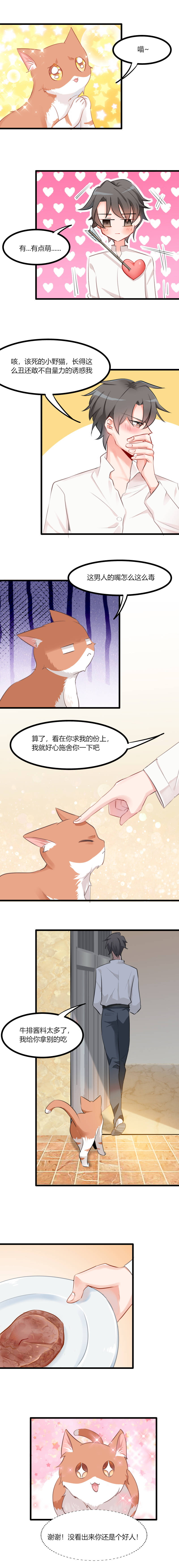 第5章：我就是你爸爸1