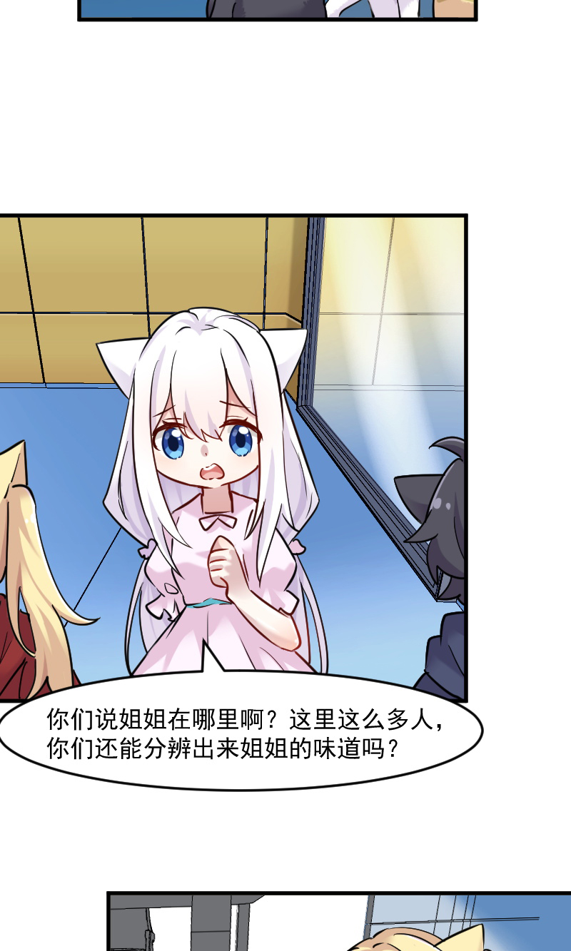 第125章：总裁的爱猫之心4