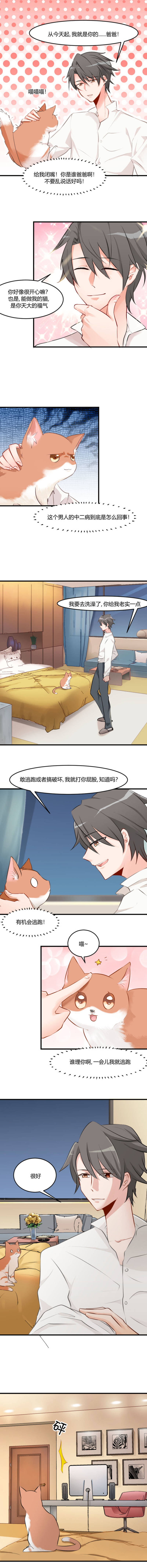 第5章：我就是你爸爸3