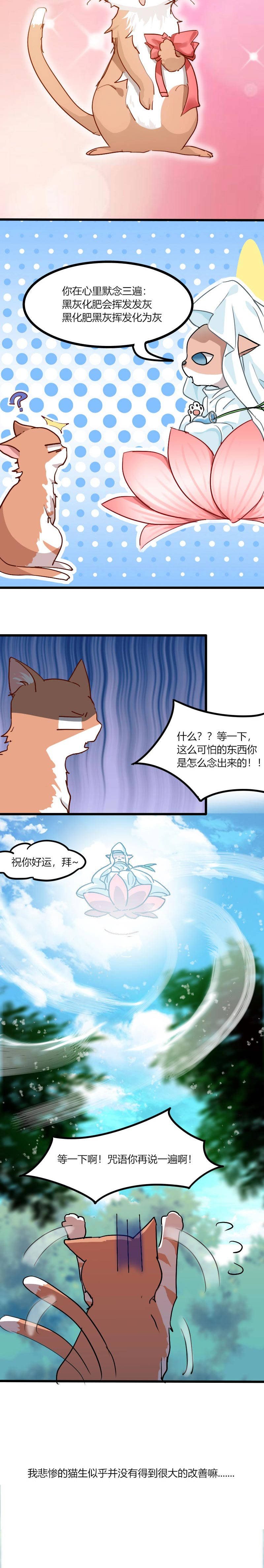 第3章：悲惨的喵生11