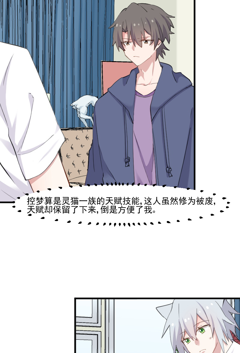 第104章：猫身上的秘密9