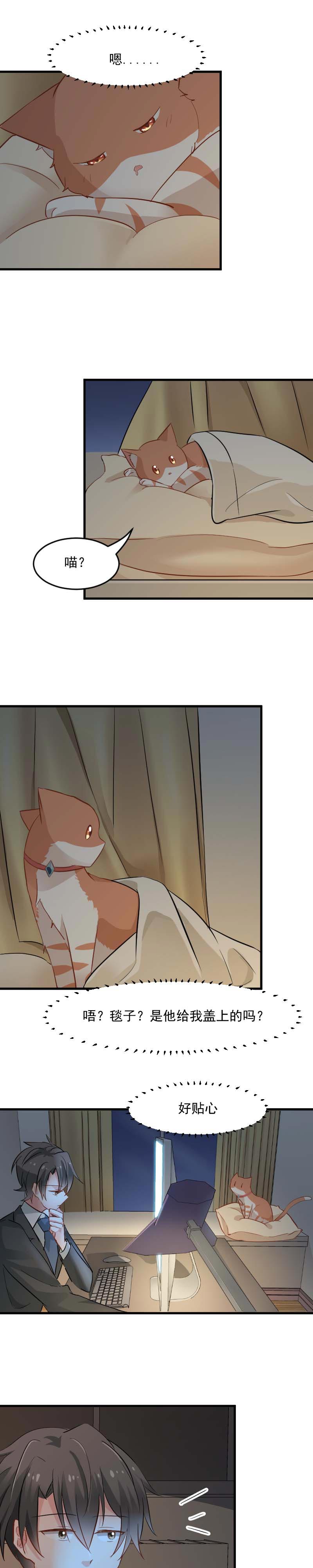 第25章：心疼了4