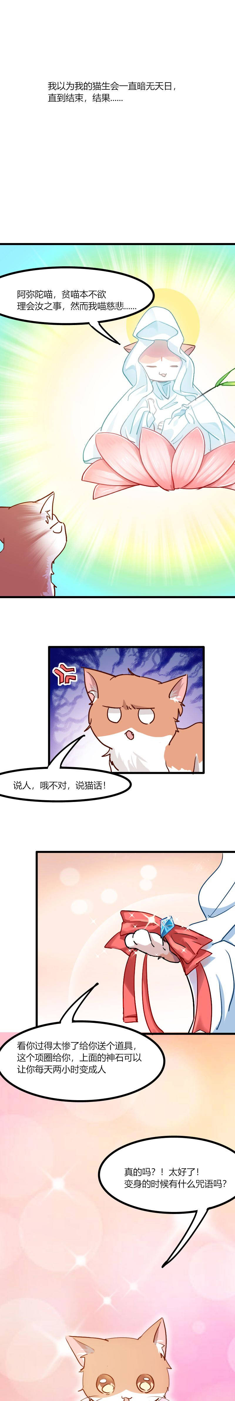 第3章：悲惨的喵生10