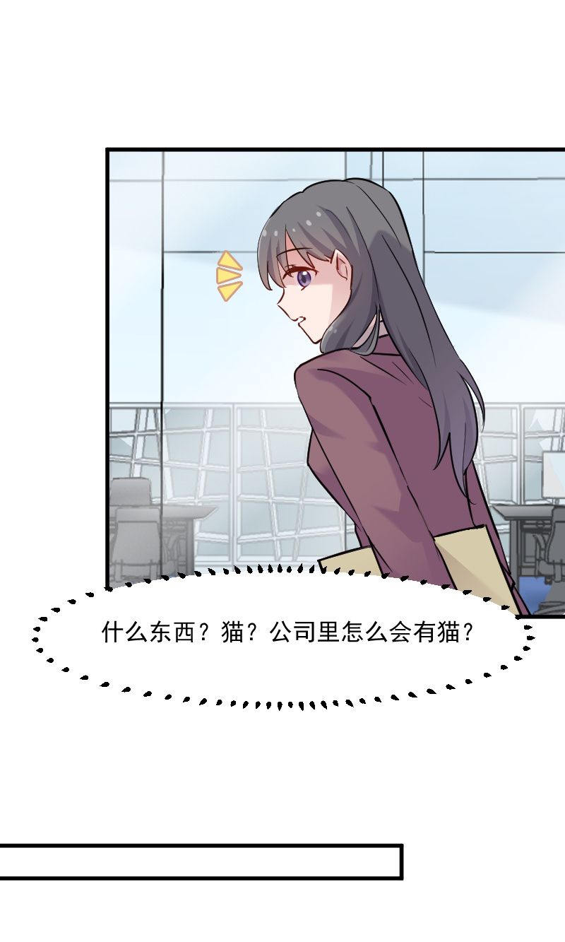 第125章：总裁的爱猫之心7