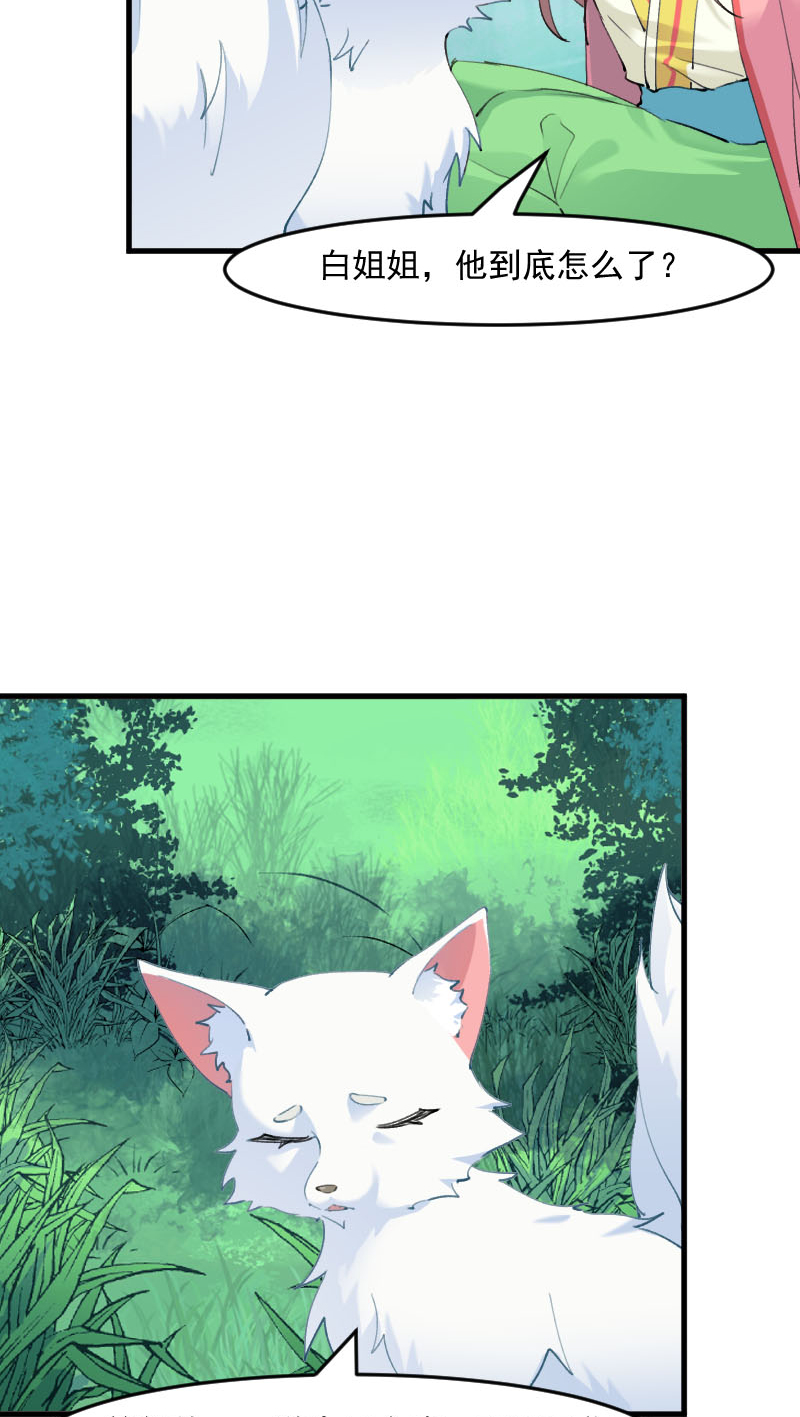 第112章：猫的报恩3