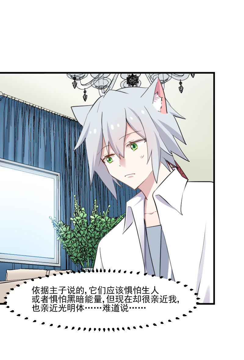 第104章：猫身上的秘密12