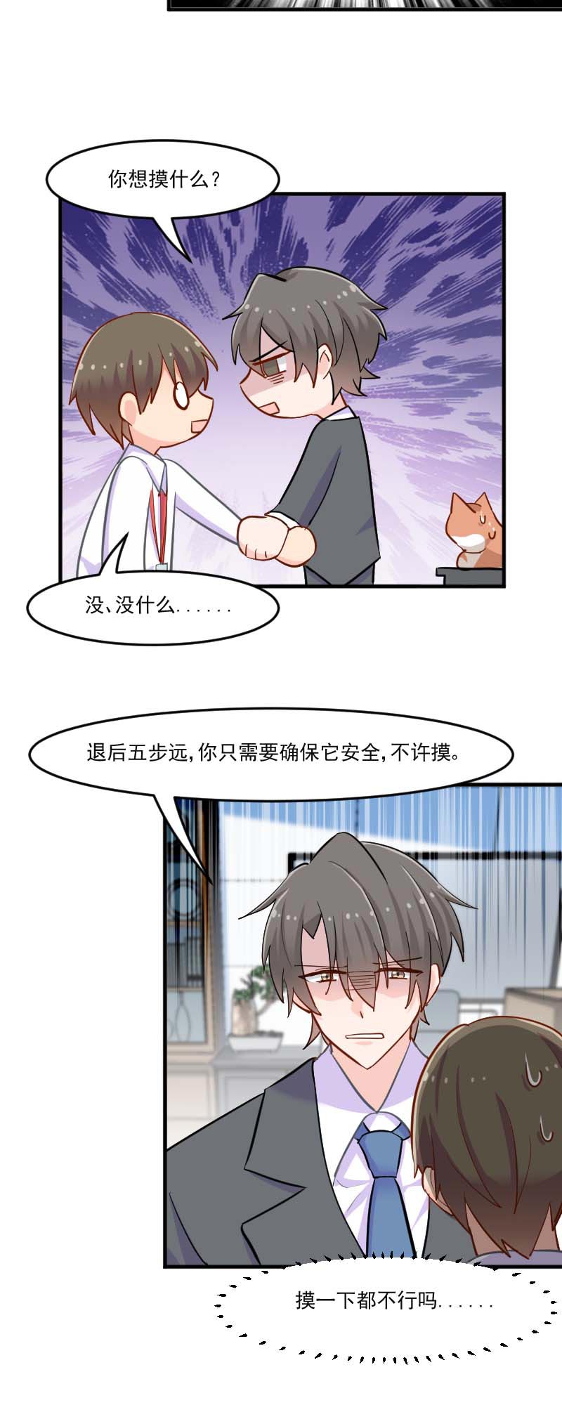 第39章：不许摸我的猫！11