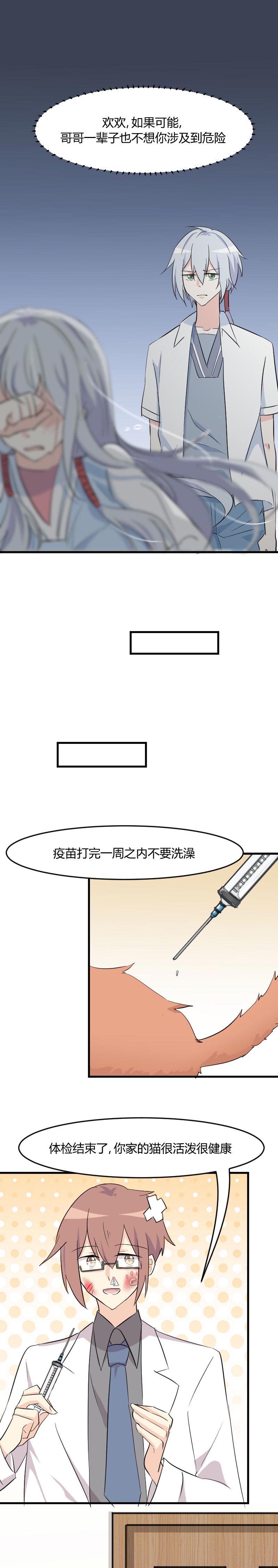 第17章：猫很活泼很健康2