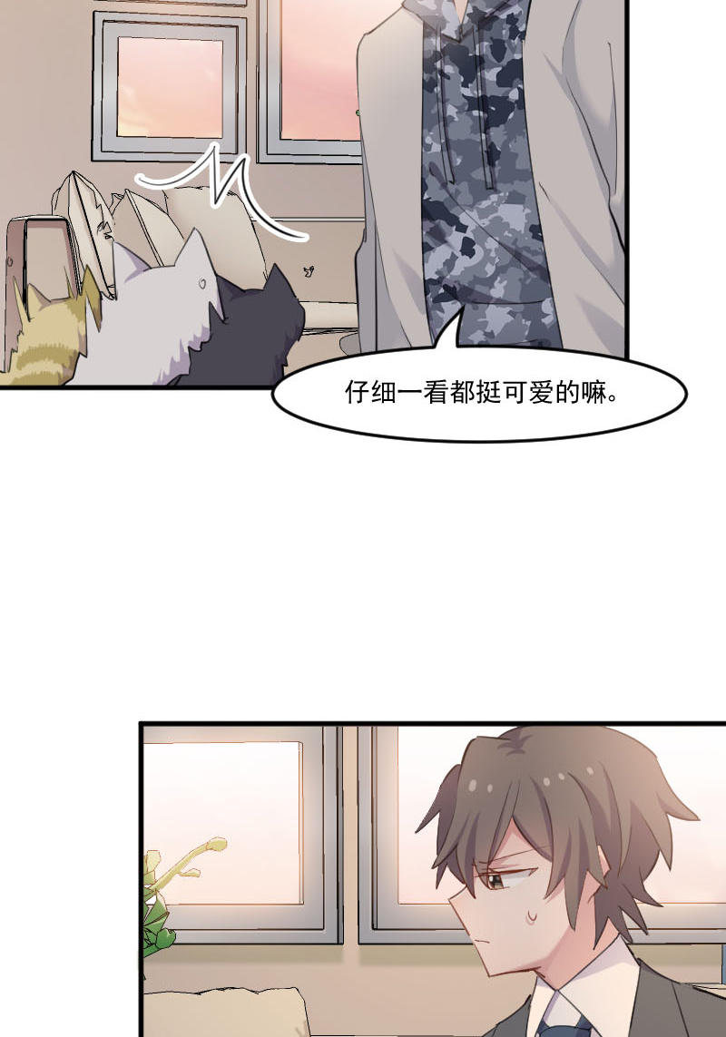 第103章：照顾她的猫5